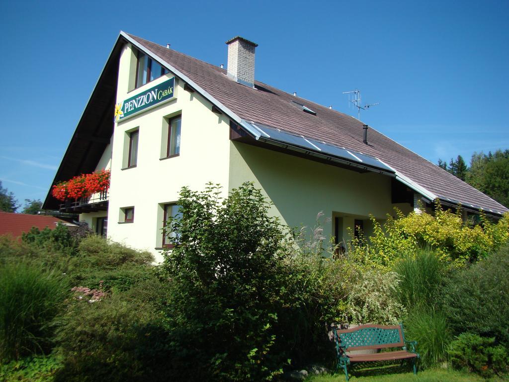 Penzion Cabak Vrchlabí Exterior photo